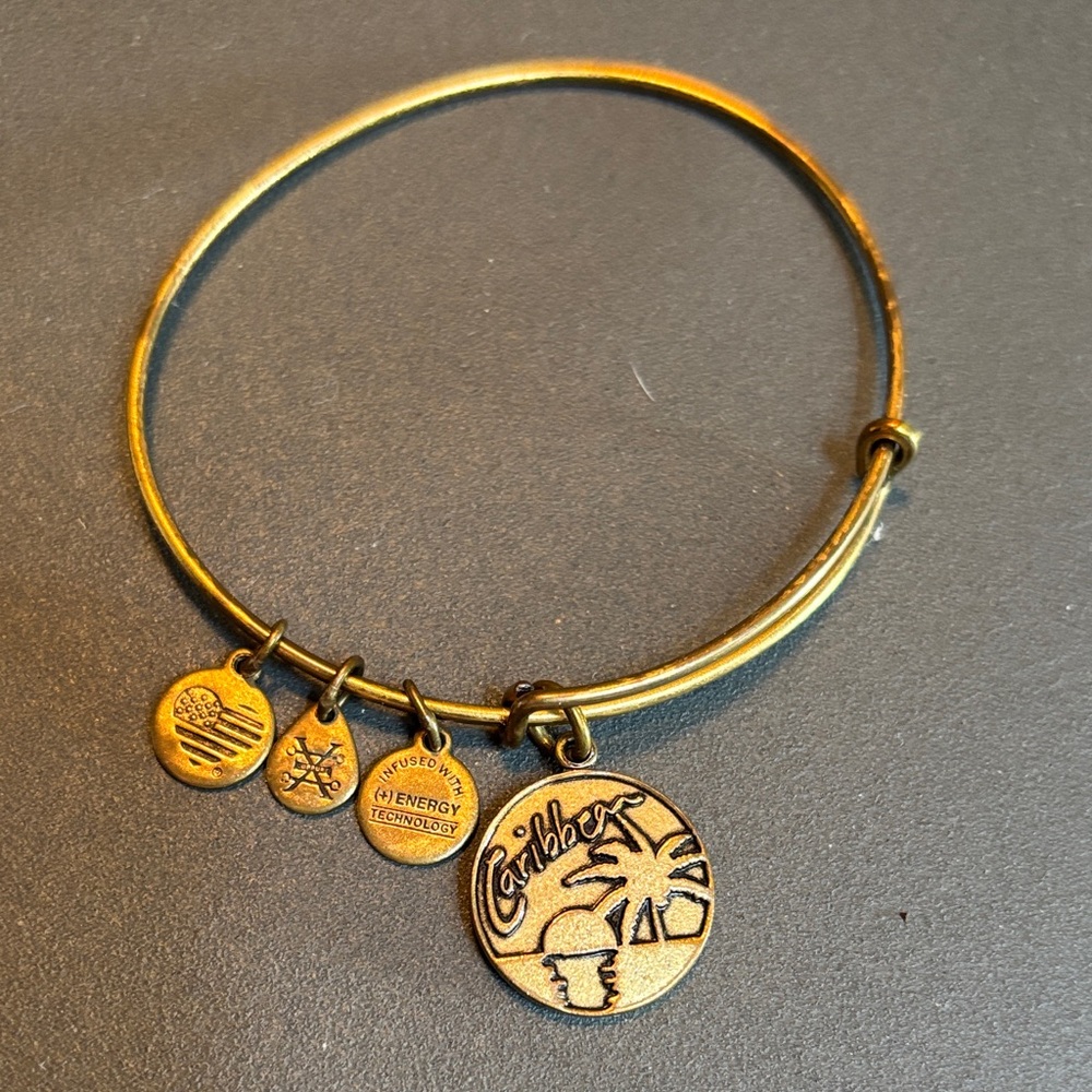 Alex and Ani Gold Caribbean Charm Bracelet